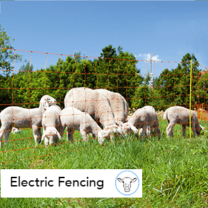 Electric Fencing Supplies